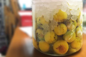 blogume1