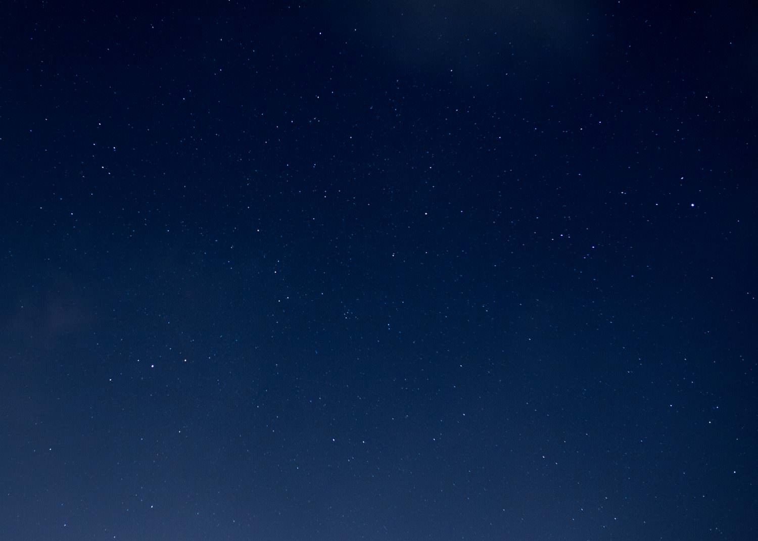 NUSEEK写真部