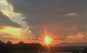 素敵なお仕事に関われる幸せ