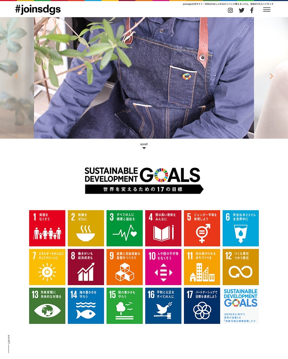 joinsdgs